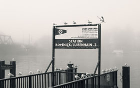 Dampferanlegesteg mit Möwen im Nebel