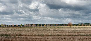 Allee im Herbst - Seitenansicht