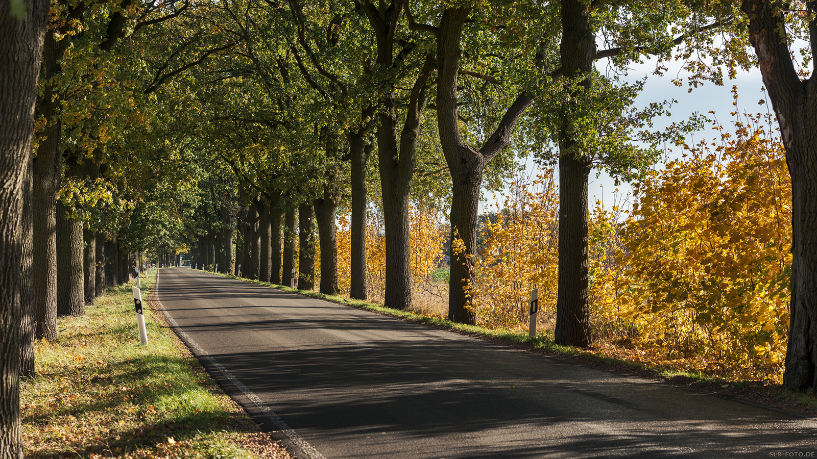 Allee - Dahlwitzer Landstraße