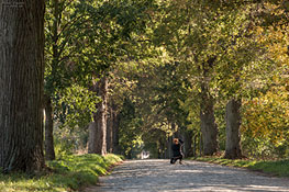 Allee und Fotografin