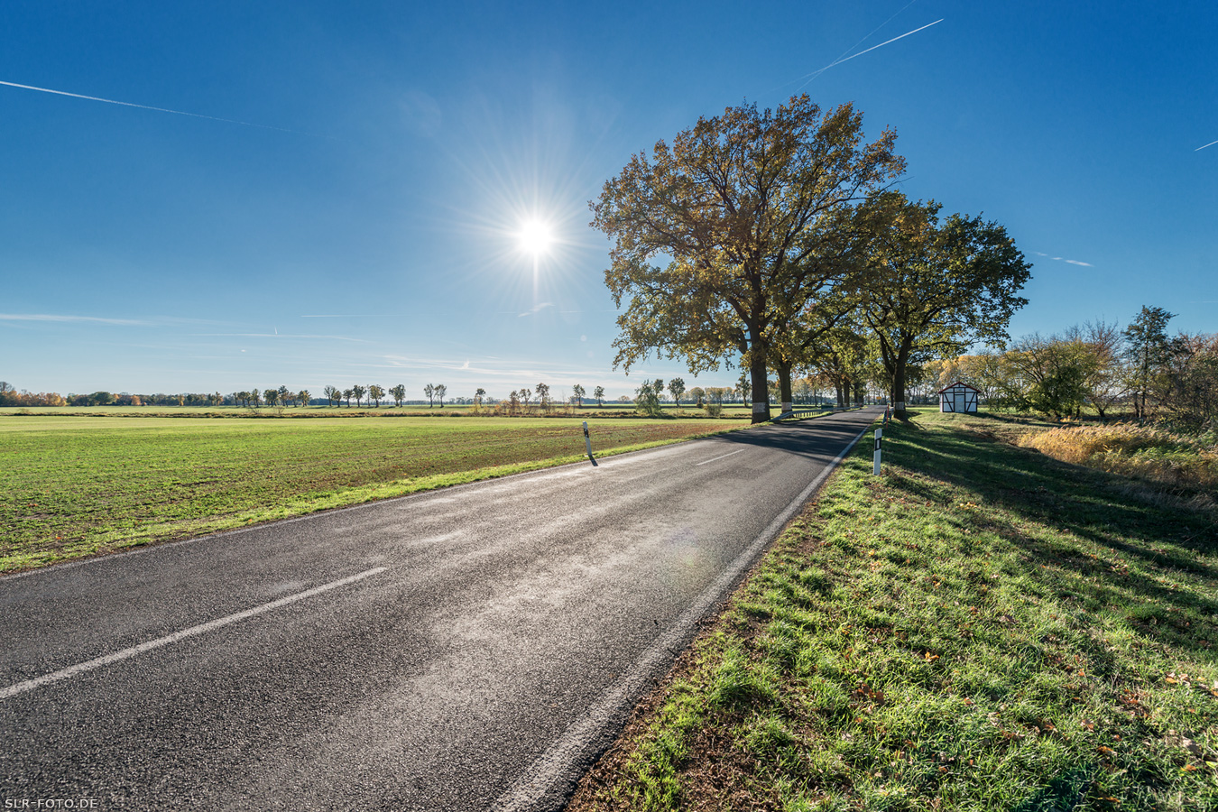 Allee in Brandenburg 6625