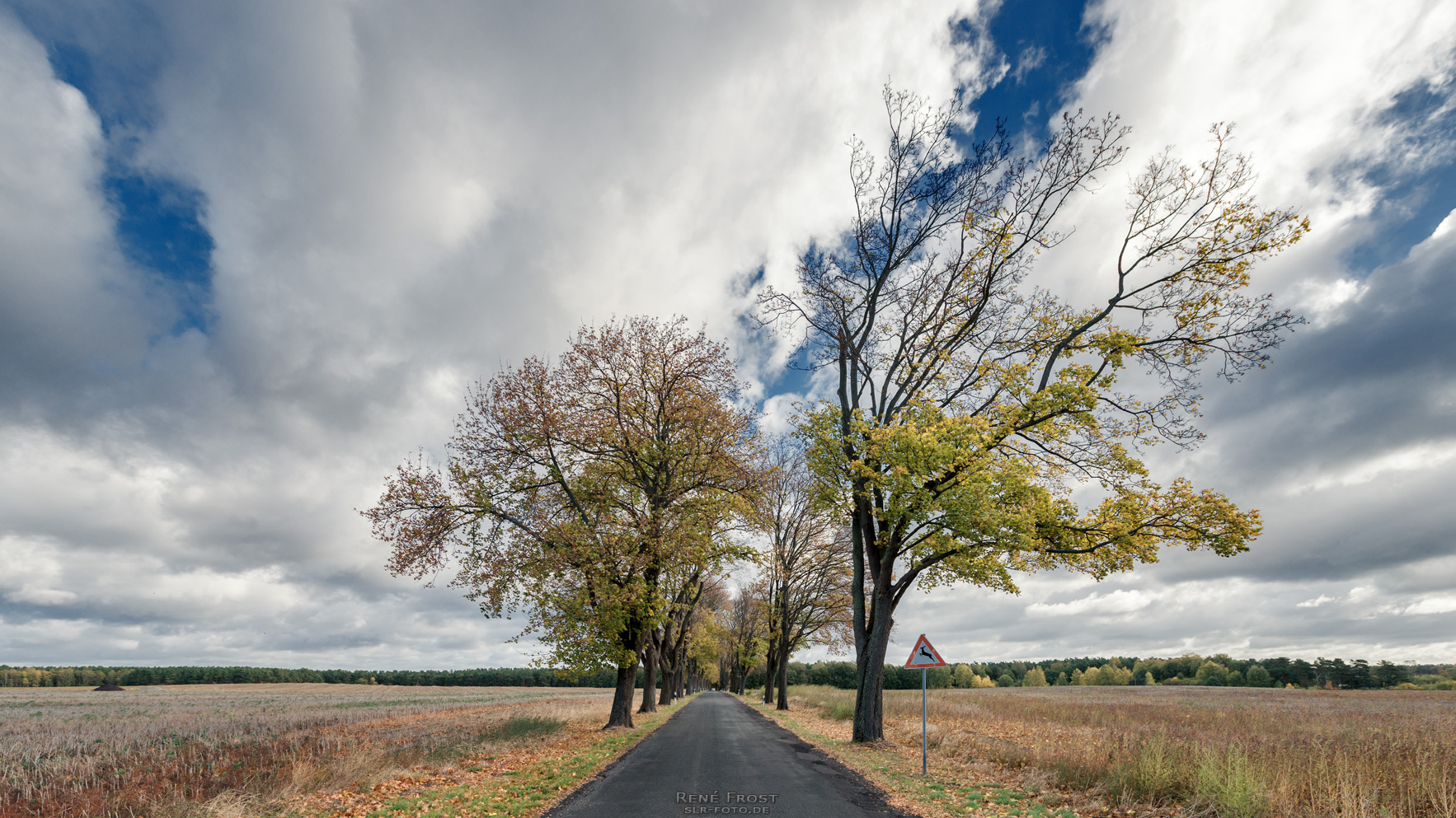 Allee bei Rüdnitz