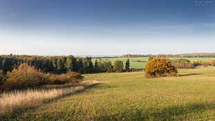 Buchenwald Grumsin im Herbst