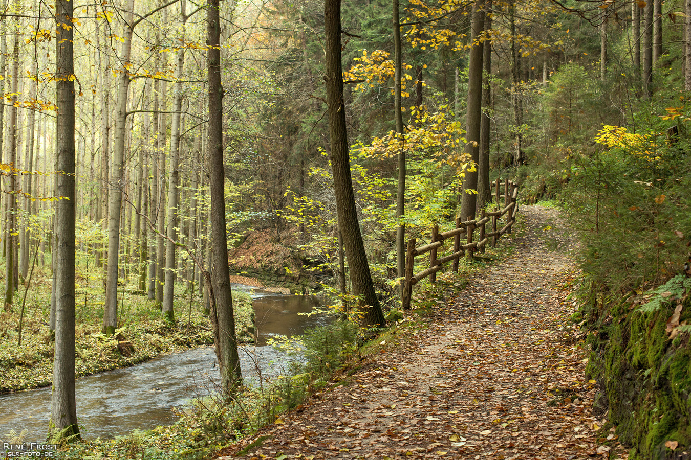 Wanderweg im Polenztal