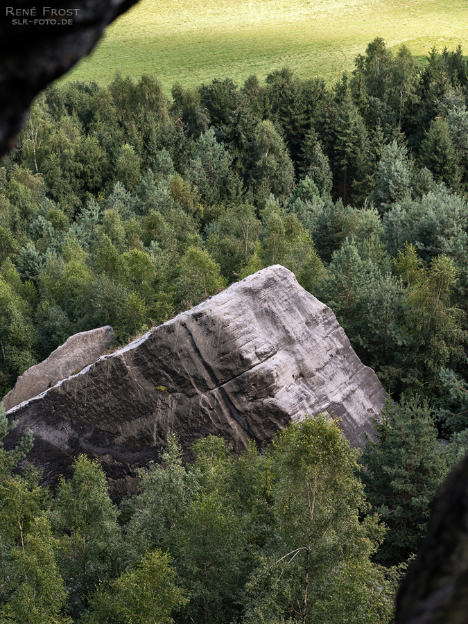 Felssturz im Elbsandsteingebirge