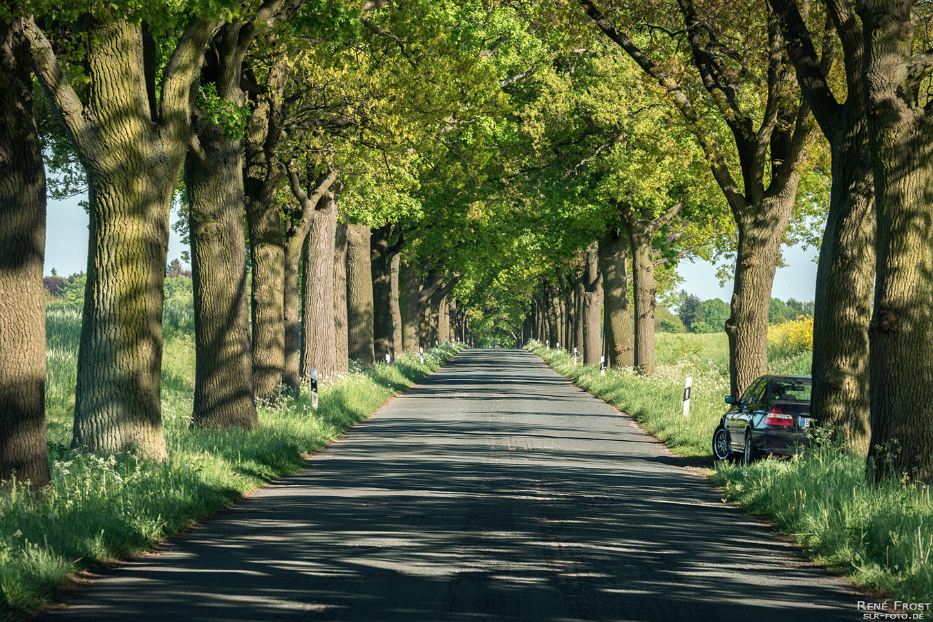 Landstraße in Brandenburg