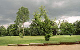 Im Muskauer Park
