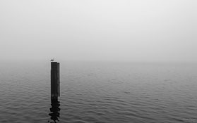 Großer Müggelsee im Nebel