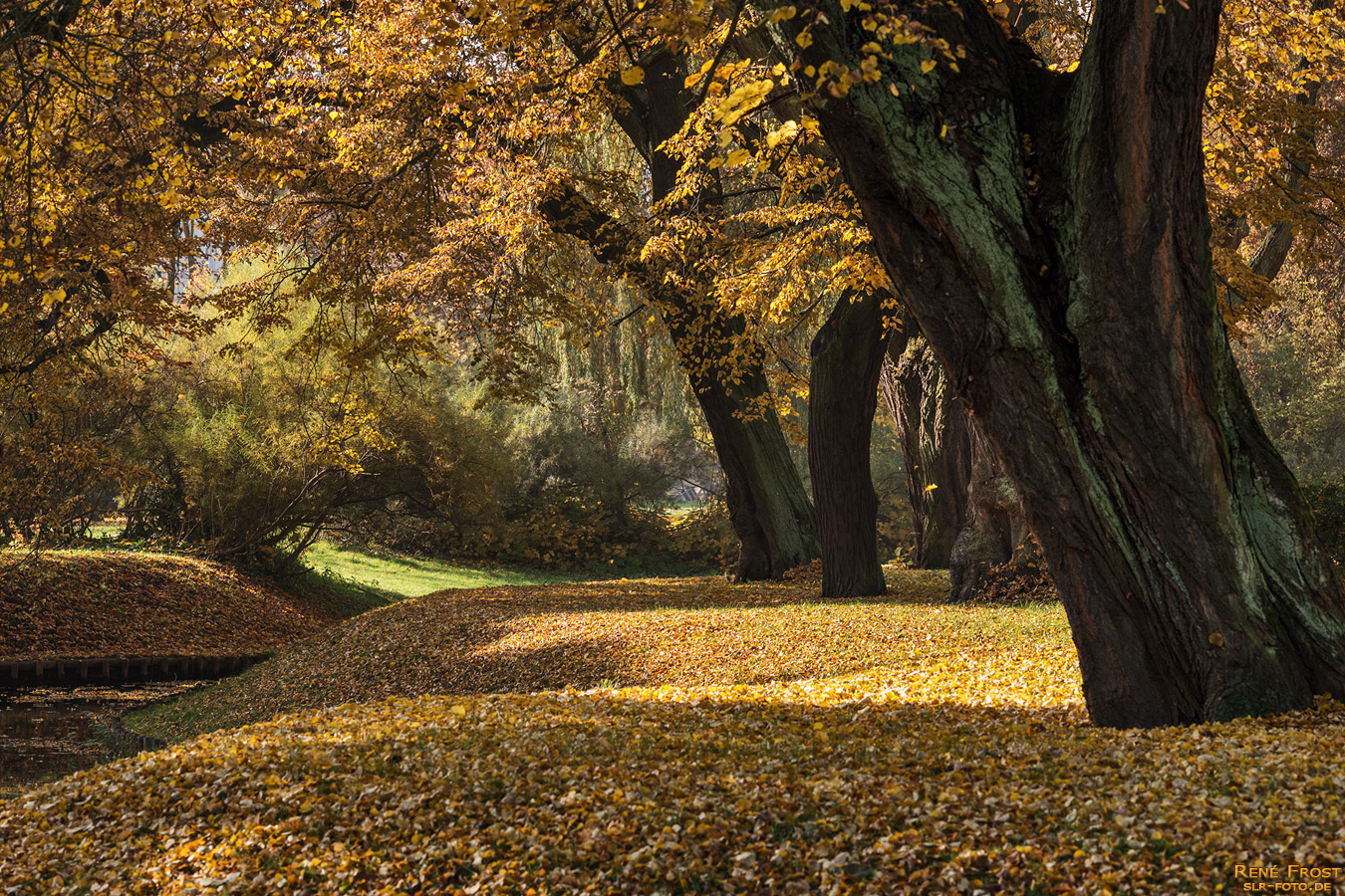 Park im Herbst