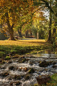 Park mit Bach im Herbst