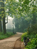Parkweg bei leichtem Nebel