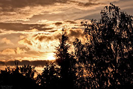 Sonnenaufgang II