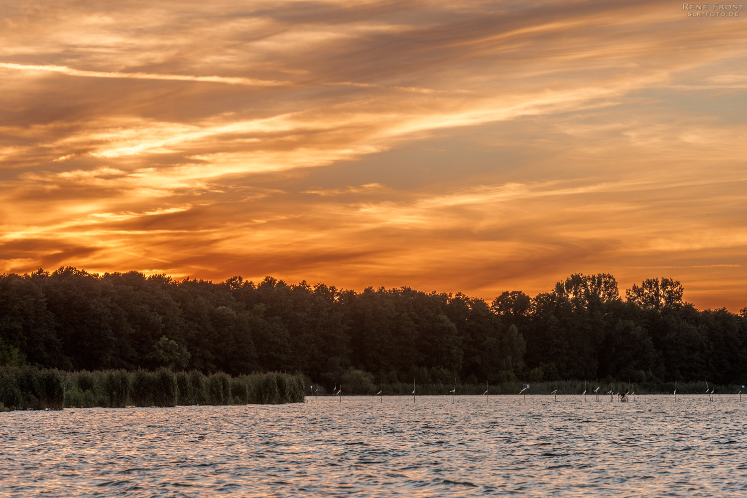 Sonnenuntergang am Großen Müggelsee 5162