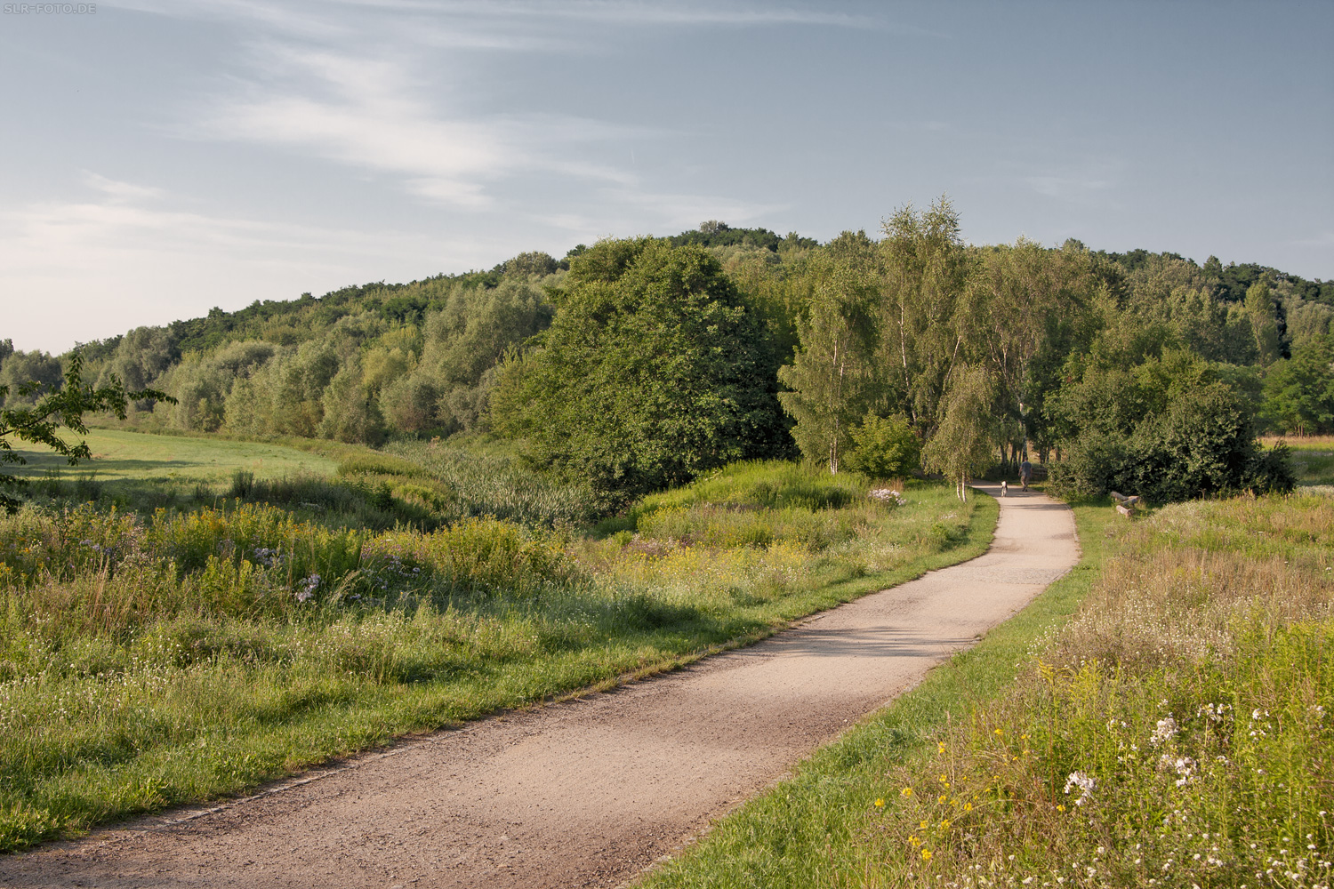 Wanderweg im Wuhletal