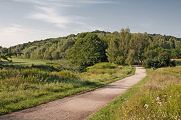 Wanderweg im Wuhletal