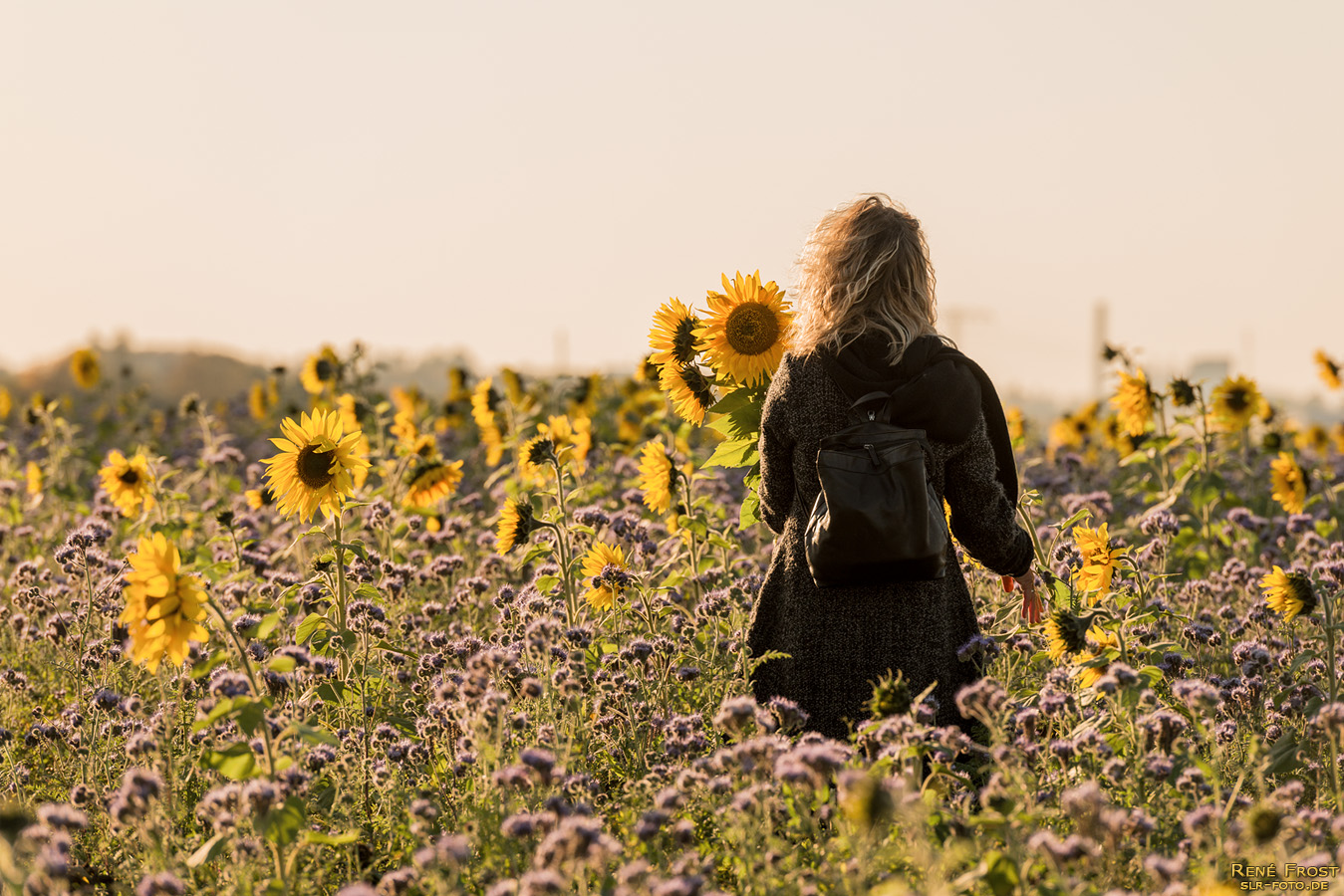 Frau im Sonnenblumenfeld