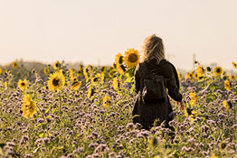 Frau im Sonnenblumenfeld