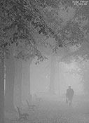 Mann im Nebel