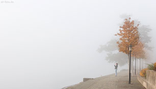 Nebel fotografieren