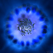 Blau II
