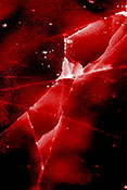 Rotes Eis