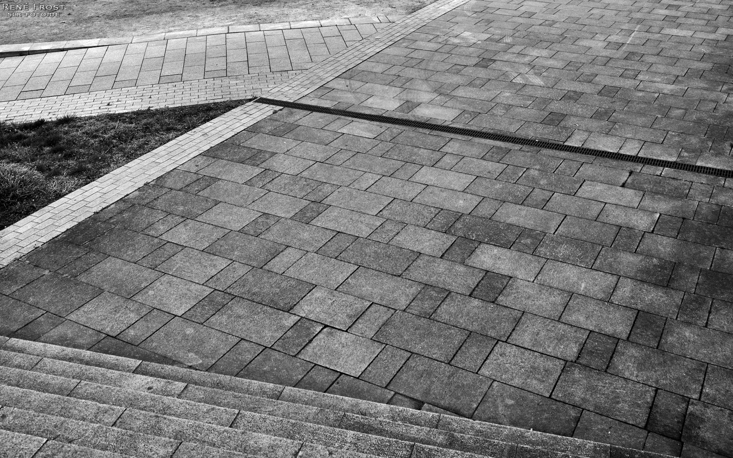 Linien